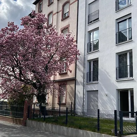 Nest Apartment